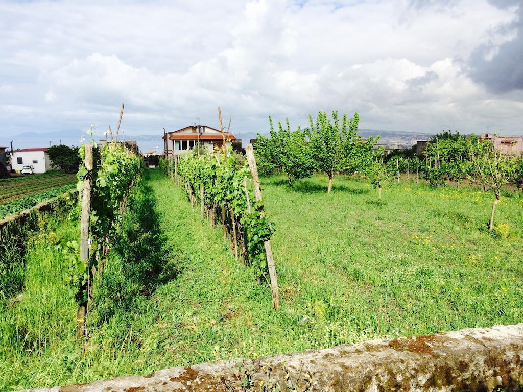 B&B Villa Nunzia แอร์โกลาโน ภายนอก รูปภาพ